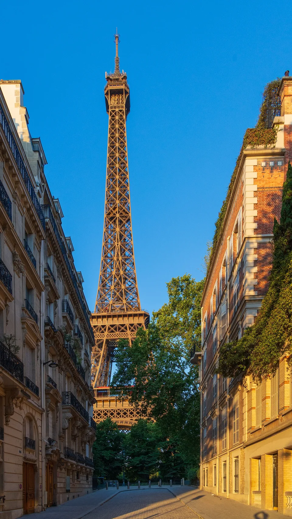 Rue de l'Université